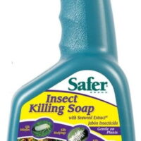 Safer Insect Killing Soap With Seaweed Extract Multiple Insects Spray 32 Oz