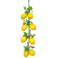 Hapeisy Simulation Fruit Vegetable String Artificial Lemon Foam Model Farmhouse Hotel Decoration Photography Prop Pendant