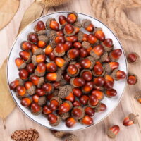 LONGRV 100 Pieces Fake Acorns for Crafts Artificial Fruit Props Acorns Decoration Crafting DIY Home Party Wedding Decor Thanksgiving Christmas Festival, Brown