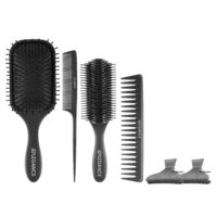 Hair Brush Set 6 Pcs - Detangler, Styling Brush, Tail Comb & WideTeeth Wet Comb for men-women - soft bristles for wet hair, brushes for long, thick, thin, curly & natural hair -by APLEGANCE(Black)