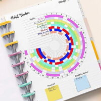Habit Tracker Inserts for the Mini Happy Planners, Habit Log, Monthly Habit Planner (PLANNER SOLD SEPARATELY)