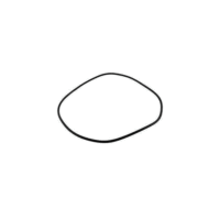 Zodiac Backplate O-Ring R0446300