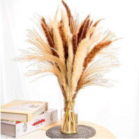 Pampas Grass, 40 Stems 15 Brown, 15 Ivory & 10 Reeds, Natural Dried Pampas, Boho Decor, Artificial Flowers