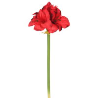 Vickerman 28' Artificial Single Red Amaryllis Stem, Set of 3