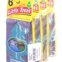 Little Trees Cardboard Hanging Car, Home & Office Air Freshener, Rainforest Mist (Pack of 24) by Little Trees