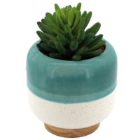 Better Homes & Gardens Green, Rubber Wood Base Faux Succulent Ceramic Pot, 7'