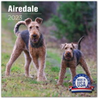 2022 2023 Airedale Calendar - Dog Breed Monthly Wall Calendar - 12 x 24 Open - Thick No-Bleed Paper - Giftable - Academic Teacher's Planner Calendar Organizing & Planning - Made in USA