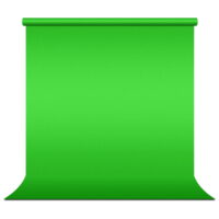 LS Photography 5 ft X 10 ft Green Chromakey Photo Video Studio Fabric Backdrop, Background Screen, Pure White Muslin, Photography Studio, WMT1018