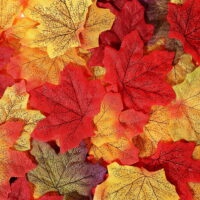 450 Pcs Artificial Fall Leaves Decoration,Fake Fall Leaves for Halloween Fall Decor Party Festival Thanksgiving Table Decorations(9 Colors)