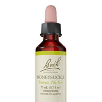 Bach Original Flower Remedies, Honeysuckle for Embracing the Now, 20mL Dropper
