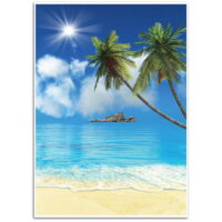 Tropical Beach Background - Photography Backdrop - Great for Studio, Booth, Party, Photo, Wedding, Business Use, 4.9 x 7.2 Feet