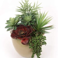 Floral Home Succulent Assortment Pick Mix, Natural Sized Artificial Plants, Real Touch, Aloe, Hanging Pearl for Arrangements, Pots, and School Projects (6)