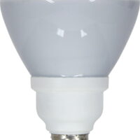 GE 21709 Energy Smart 15 Watt R30 Dimmable CFL Floodlight