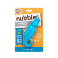 Arm & Hammer Ora-Play Denta-Saurus Gator Dental Toy for Dogs in Mint Flavor
