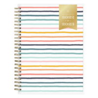 Blue Sky 2022-2023 Weekly Monthly Planner Notes, 5.875' x 8.625', by Day Designer, Rainbow Stripe