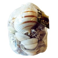 Akasha Extra Large White Shells Bag, 3 Lb