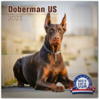 Doberman Calendar 2021-2022 - Dog Breed Monthly Wall Calendar - Made In USA - 12' x 24' (Open)
