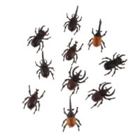 Lot 10 Plastic Vivid Beetles Insect Model Animal Kids Party Favor Bag Filler