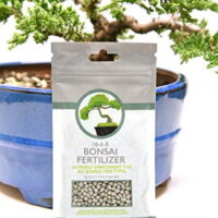 Bonsai Food Pellets by Perfect Plants - 5 Year Supply - All Natural Slow Release - Extended Enrichment for All Live Bonsai Tree Types
