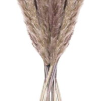 20 pcs Pampas Grass, 60cm Natural Pampas Flower Dried Flower Bouquet for Vases, Boho Decoration Bedroom Home Living Room, Wedding Photographing Table Decoration, Natural Pampas Grass Reeds