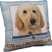 E&S Pets Large Dog Design Throw Pillow 16 x 16 inches - Yellow Labradoodle