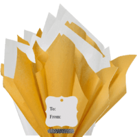 100Sheets Noble Gold and White Gift Wrap Pom Pom Color Tissue Paper Mix with 12 To From Gift Tags & Twine