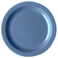 Dinnerware Plate Narrow Rim 10' Slate Blue