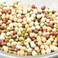 Todd's Seeds - Protein Bean Sprouting Seed Mix - 1 LB