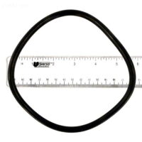 Zodiac Lid O-Ring R0480200