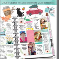 me & my BIG ideas Happy Memory Keeping Sticker Value Pack-A Year Of Memories, 432/Package