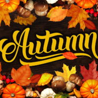 Autumn Leaves Fleece Throw Blanket 50' x 60'