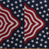 35.5' X 68' Panel - Packcloth American Flag Bunting USA United States of America Patriotic 4th of July Nylon/Polyester Indoor/Outdoor Decorator Fabric by the Panel (D245.17)