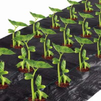 Agfabric Easy-Plant Weed Block for Raised Bed Outdoor Garden Weed Rugs Garden mat for Spinach 3.0oz, 4'x6',with Planting Hole Dia 3'