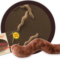 Diarrhea