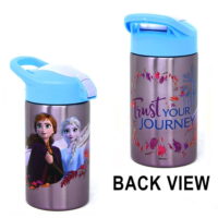 Frozen 2-15.5oz Stainless Steel Vector Bottle with push button spout