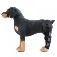 Monfince Original Dog Knee Brace for ACL, Knee Cap Dislocation, Arthritis - Keeps The Joint Warm - Extra Support - Reduces Pain and Inflammation, Black, S