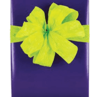 Solid Purple Elegant Specialty Gift Wrap Wrappiing Paper 24 x 15ft