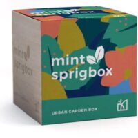 Sprigbox Mini Mint Grow Kit