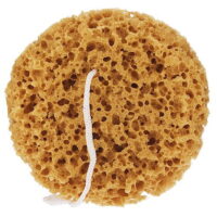Xen-Tan Premium Sunless Tan Body Sponge Use Daily Application New