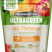 Pennington Ultra Green All Purpose Plant Food, 10-10-10 Fertilizer, 5 lbs