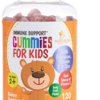 Nature's Nutrition Kids Immune Support Gummies with Vitamin C, Echinacea and Zinc, 120 Ct
