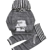 Springcmy Newborn Kid Baby Boy Dinosaur Hoodies Tops Coat Long Pants Outfits Set