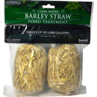 CLR WTR BRLY STRW POND (Pack of 1)