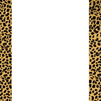 Designer Paper - Cheetah (50 Sheet Package)