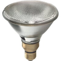 GE Lighting 66282 Energy-Efficient Halogen 80-Watt (120-watt replacement) 1600-Lumen PAR38 Floodlight Bulb with Medium Base 2-Pack