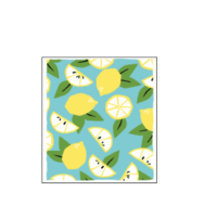 Ritz Swedish Dish Cloths 2 Pack - Summer Lemons EARTH FRIENDLY