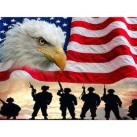Goory American Flag DIY 5D Diamond Painting,Full Drill Diamond Painting By Number Kit,Art Carft Embroidery Cross-Stitch Kits