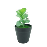 FixtureDisplays® 3.5 X 3.5 X 7' Diameter Black Planter with Succulent Desert Rose (Adenium obesum) Last Forever Artificial Green Turf Moss 21675-2
