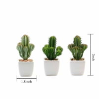 BalsaCircle 3 Pieces 5' Green Artificial Faux Succulent Cactus Plants Off White Pots