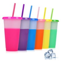 Plastic Tumbler with Straw and Lid, 6 Pack 16oz Color Changing Cup, Reusable Plastic Cups for Kids, Perfect for Parties,Birthdays